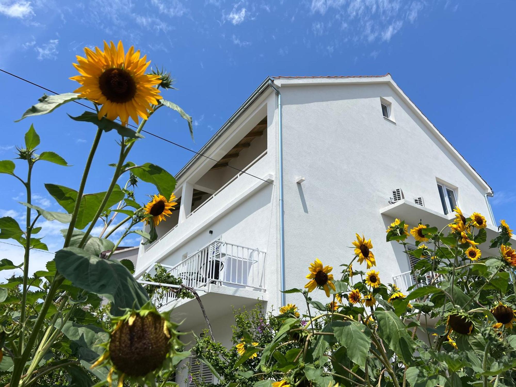 Apartments Nikola Stipisic Hvar Town Bagian luar foto