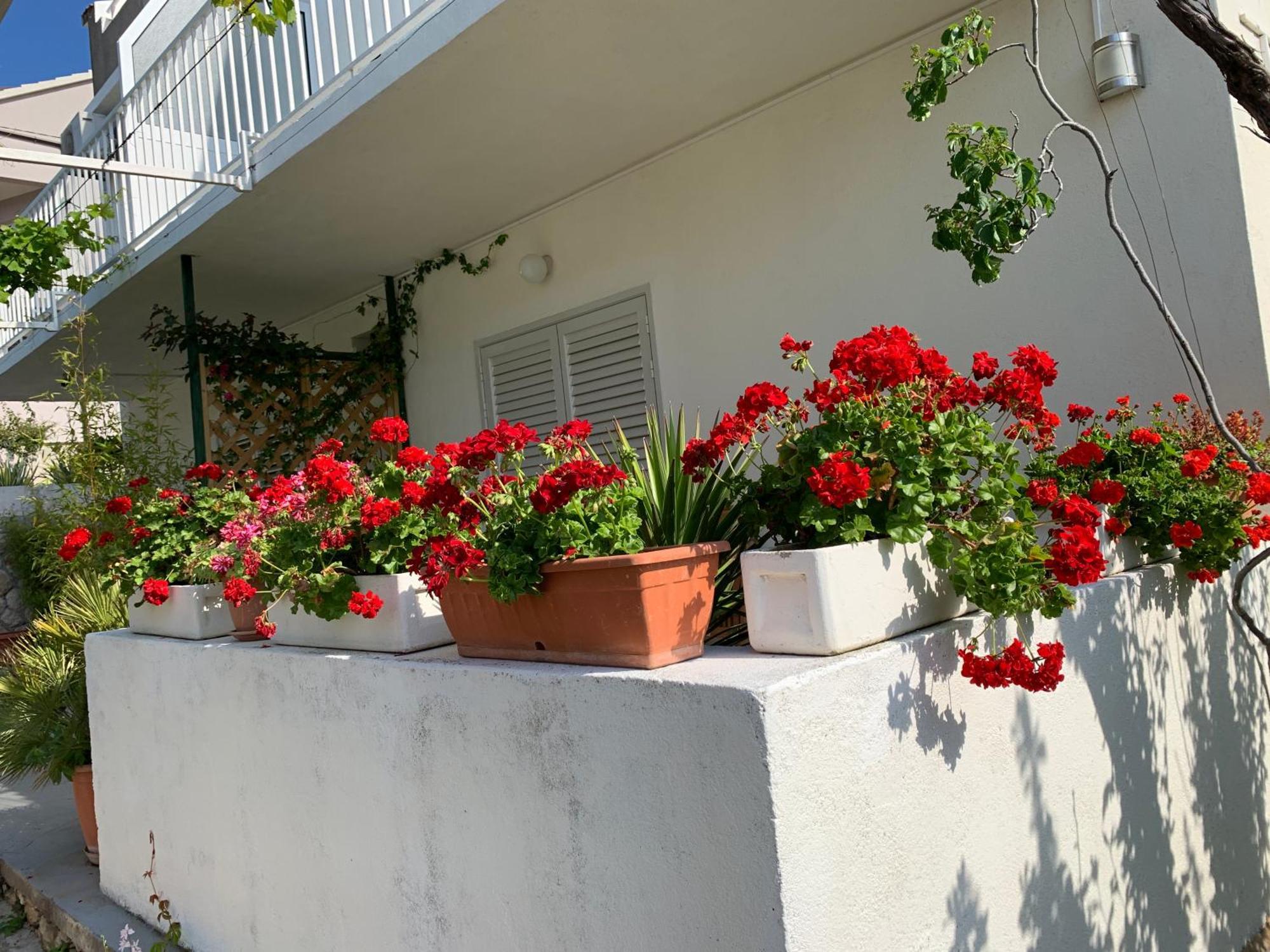 Apartments Nikola Stipisic Hvar Town Bagian luar foto